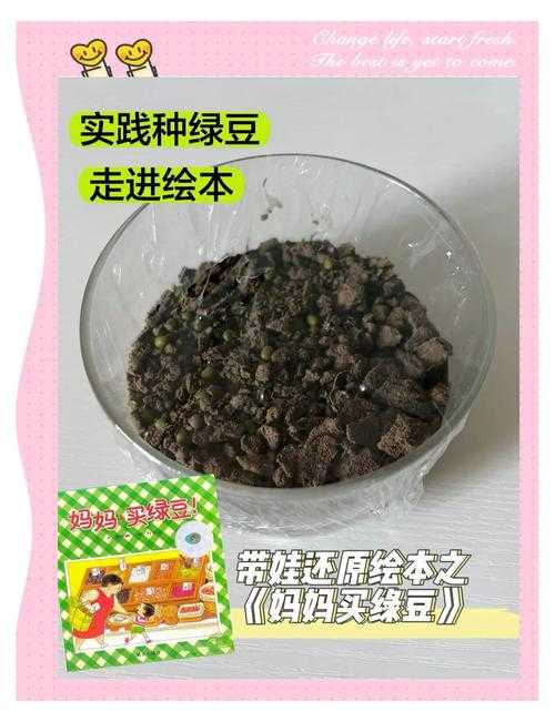 2025年 种豆 玩家种植全攻略 从新手到高手必看指南