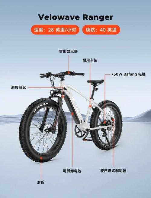 2025年 穷 人购车指南 这三款电车用三年能省出一辆自行车