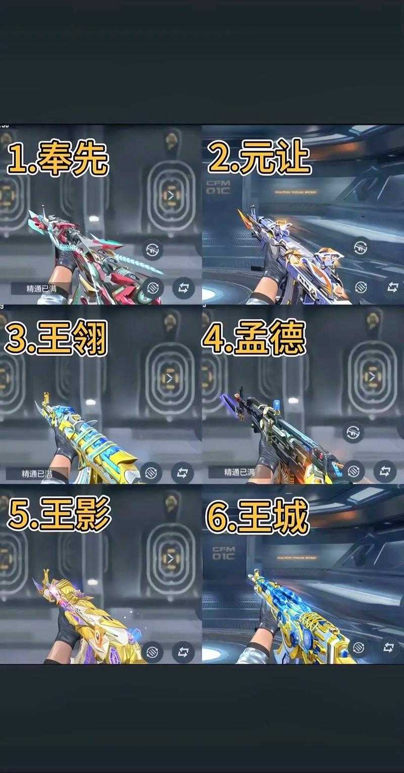 2025年 穿越火线 枪战王者 战龙武器深度解析
