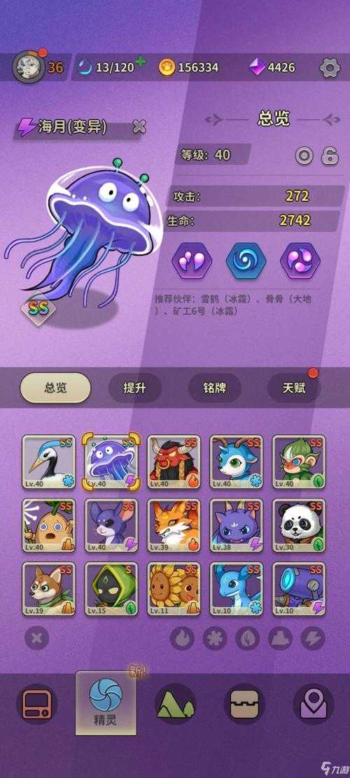 2025年 精灵 高效升级指南 真实玩家经验总结