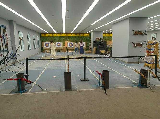2025年 精灵射箭 新手必看 四款弓箭对比测评与选购指南