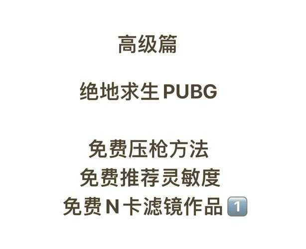2025年 绝地求生 合作监狱实战指南 从新手到高手的生存法