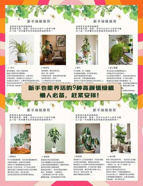 2025年 绿野仙踪 植物养成全攻略 亲测有效的6大进阶技巧