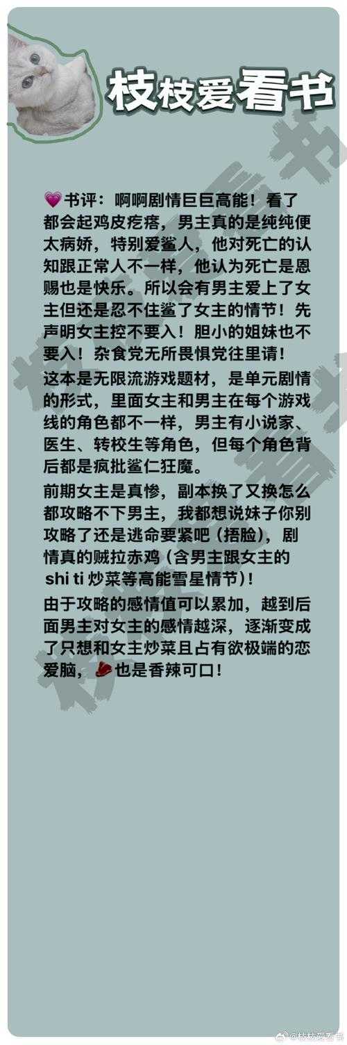 2025年 网游之乌龙夫妻 TXT文件全攻略
