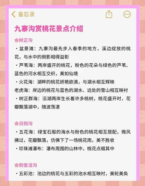 2025年 网游之桃花朵朵开 活动技巧全解析 这些隐藏机制你