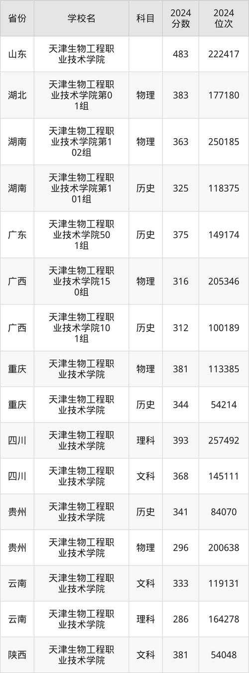 2025年 网游之洛林 职业选择深度解析 附最新数据对比
