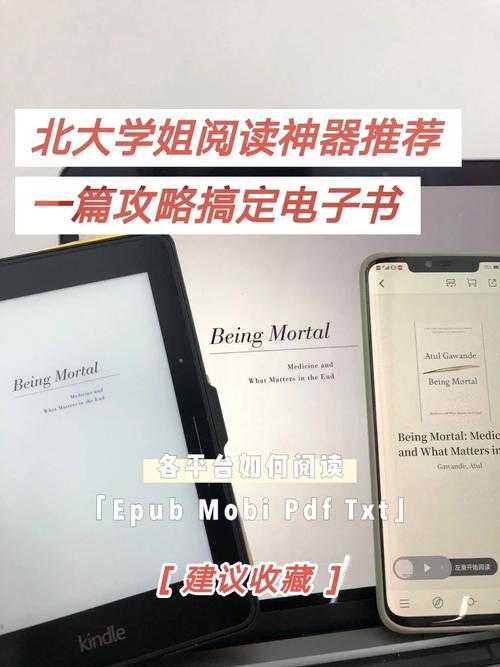 2025年 网游之玩转宇宙 电子书获取全攻略