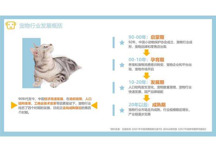 2025年 网游之神附体 稀有宠物获取全攻略