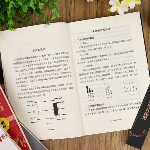 2025年 网游之秦风 进阶指南 从新手到宗师的实战秘籍