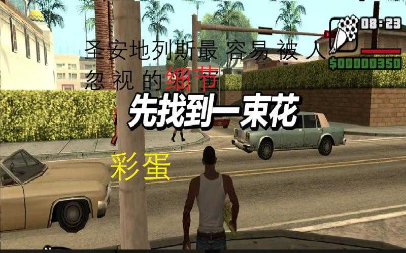 2025年 网游之鹏 新手村彩蛋全攻略 这些冷门成就你解锁几