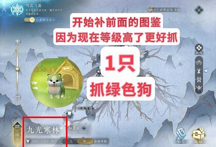 2025年 网游江湖ol 宠物培养全攻略 从新手到高手的进阶
