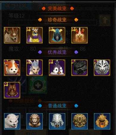 2025年 网游法师传奇 宠物养成全攻略