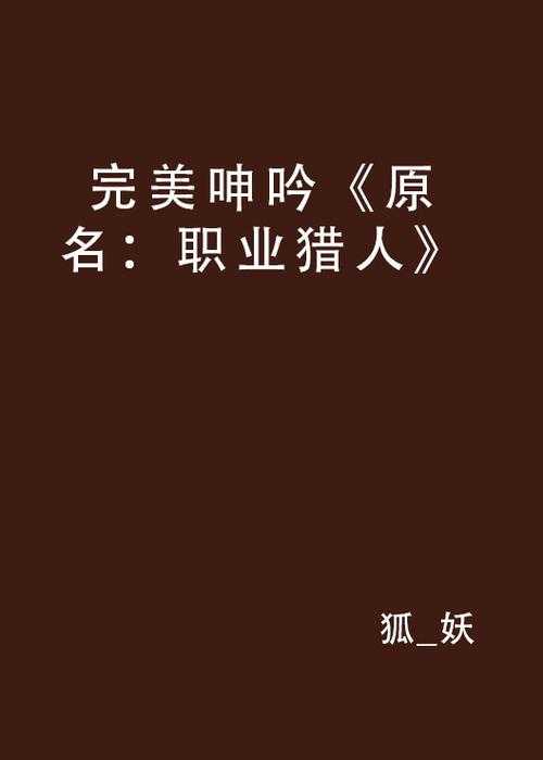 2025年 网游王这个者无双 猎人职业实战指南