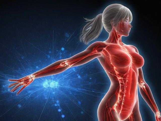 2025年 远征 经脉系统深度解析 数据驱动的加点策略